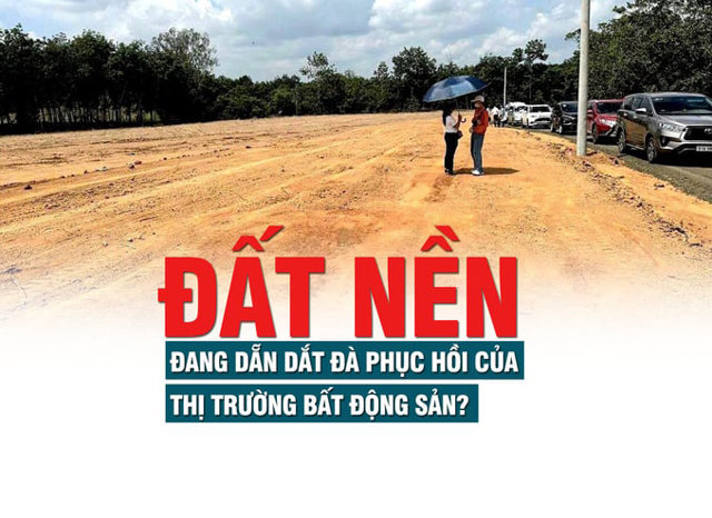 Đất nền đang dẵn dắt đà phục hồi của thị trường bất động sản? - Ảnh 1