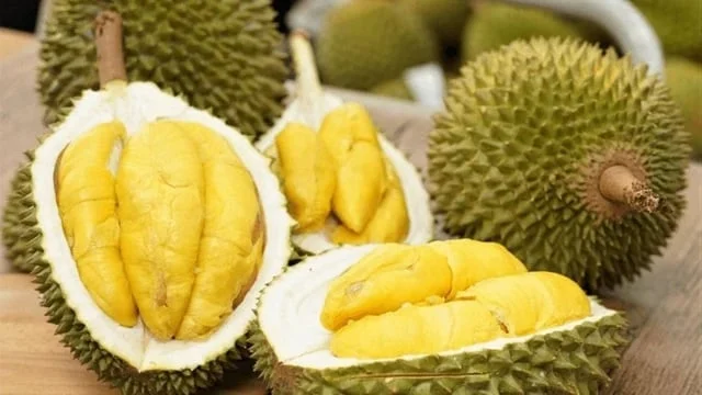 Sản phẩm sầu ri&ecirc;ng Monthong của Thaco Agri. &nbsp;