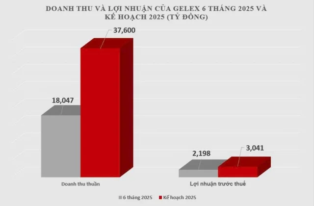 Quý II/2025, GELEX lãi kỷ lục, hoàn thành 72% kế hoạch lợi nhuận năm - Ảnh 2