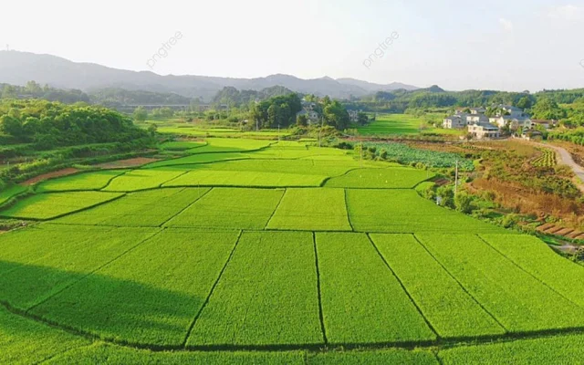 Đồng loạt kiến nghị giảm sâu tiền sử dụng đất cho người dân - Ảnh 1
