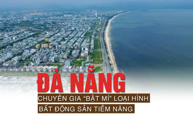 Đà Nẵng: Chuyên gia “bật mí” loại hình bất động sản tiềm năng - Ảnh 1