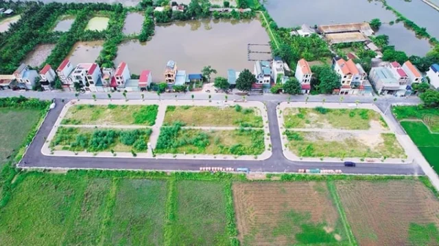 Ảnh minh họa.