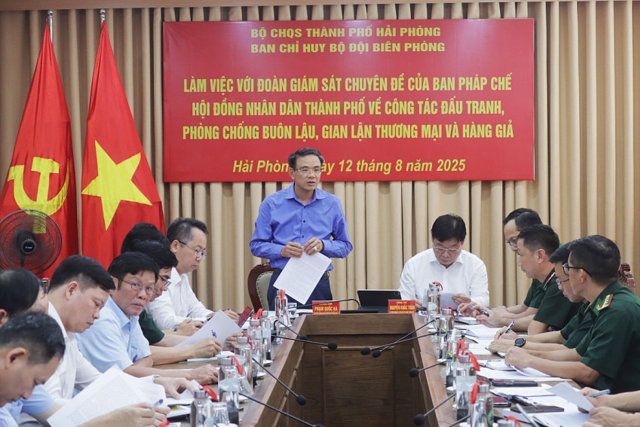 Hải Phòng: Tăng cường công tác chống buôn lậu, gian lận thương mại và hàng giả - Ảnh 2