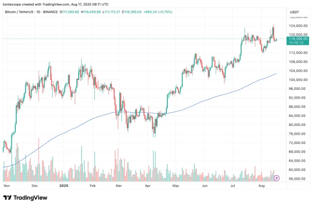 Biểu đồ gi&aacute; Bitcoin ghi nhận trong ng&agrave;y &nbsp;