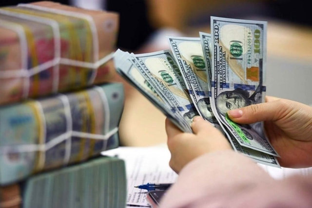PGS TS. Phạm Thế Anh: 'Lạm dụng nới lỏng tiền tệ có thể tạo bong bóng tài sản' - Ảnh 1