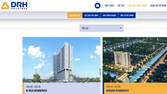 DRH Holdings: Thua lỗ kéo dài, chậm đóng BHXH gần 2 tỷ đồng - Ảnh 1
