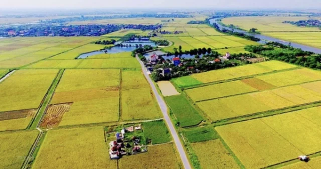 Bộ T&agrave;i ch&iacute;nh đề xuất mức thu khi chuyển mục đ&iacute;ch sử dụng đất n&ocirc;ng nghiệp sang đất ở.