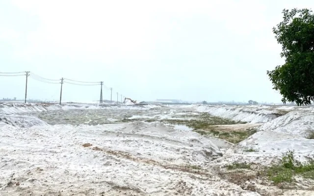 C&ocirc;ng ty CP Kỹ nghệ kho&aacute;ng sản Quảng Nam động ch&iacute;nh trong lĩnh vực khai th&aacute;c, chế biến v&agrave; kinh doanh kho&aacute;ng sản (trừ kho&aacute;ng sản cấm)