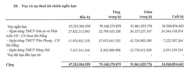 Đến hết qu&yacute; 2/2025, dư nợ vay ngắn hạn của Cơ điện Miền Trung ở mức 34,56 tỷ đồng, giảm so với đầu năm v&agrave; hiện chiếm 16,9% tổng nguồn vốn c&ocirc;ng ty.